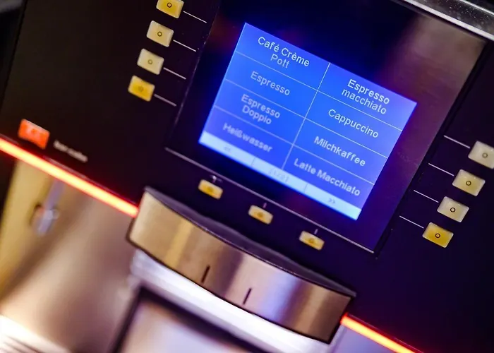 이비스 하우프트반호프