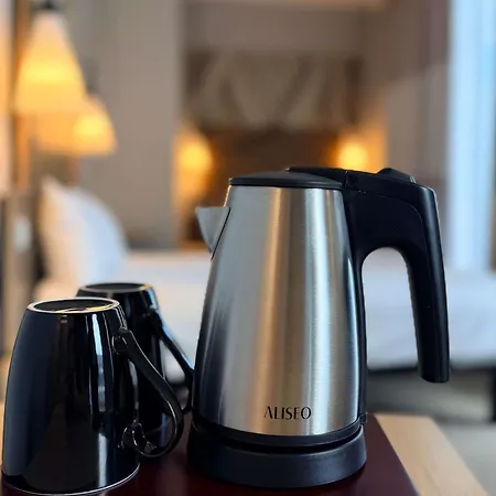 Ibis Hauptbahnhof 3*