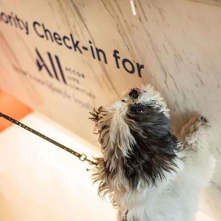 イビス ハウプトバーンホフ